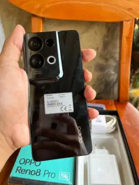 Oppo Reno 8 PRO 5G 12/256