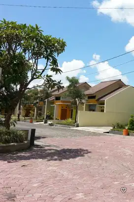 Di sewakan hunian nyaman lega tenang