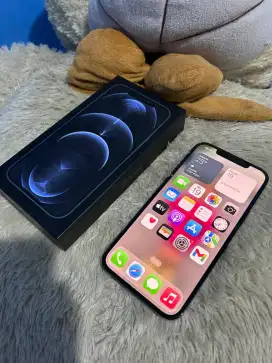 iPhone 12 promax 256
