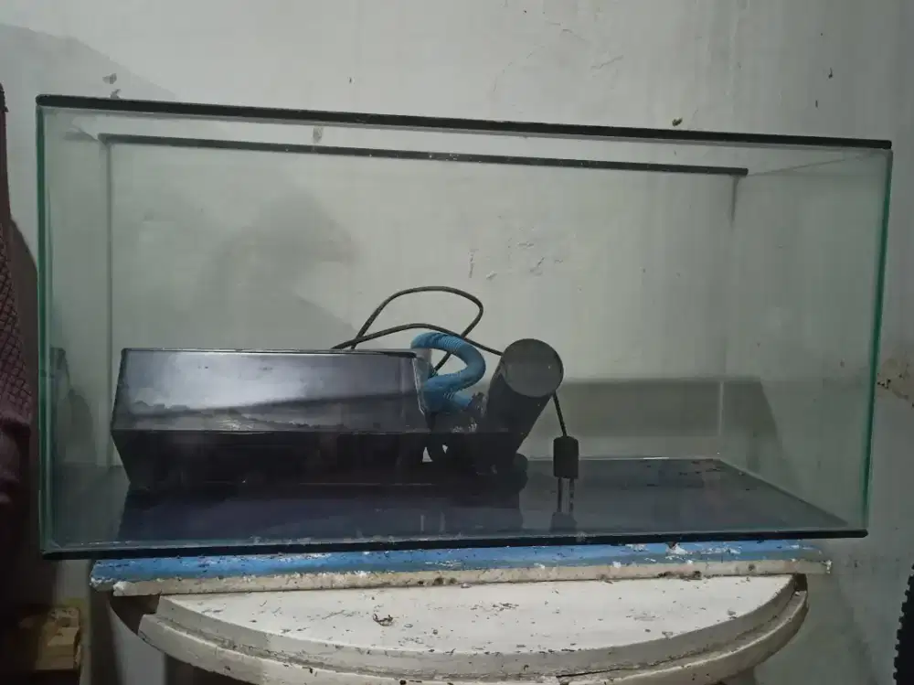 Aquarium ikan hias fullset