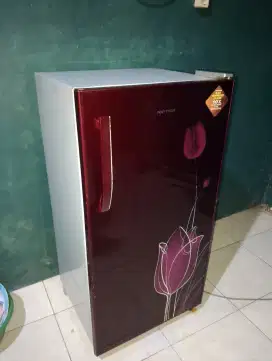 Kulkas Polytron 1 pintu