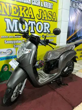 Scoopy 2020 matebrown AJM