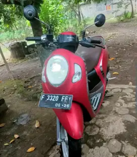 Scoopy keyles 2021