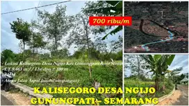 Tanah Gunungpati Kota Semarang (Zona Kuning) lokasi Kalisegoro Desa Ng