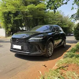 2024 Lexus RX350h Hybrid Luxury ATPM KM 4000 Antik