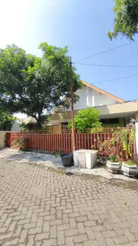 Dijual Rumah Pribadi