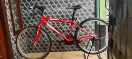 Sepeda mtb polygon monorac
