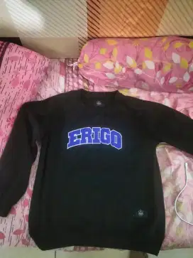 Sweater, erigo.