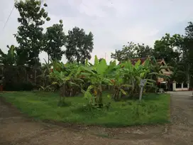 Dijual Tanah - Gondang - Luas 417m