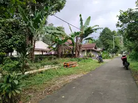 Tanah Dijual Murah Berupa Kebun Dengan Suplay Air Bagus Akse Mobil