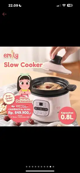 Slow cooker bayi