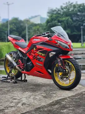 Kawasaki Ninja 250 FI With R9