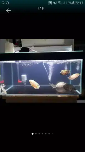 Di jual aquarium 80x40x40 tinggal pakai dan ikan