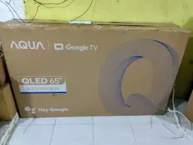 TV Google 65 inchi