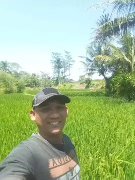 Cari kerja yg halal dan barokah