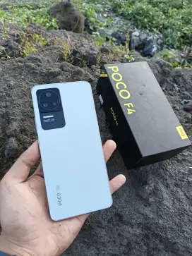 Xiaomi Poco F4 5g