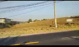 TANAH 0 JALAN RAYA LEGUNDI KEDAMEAN DISEWAKAN