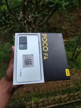 Xiaomi Poco F4 5g