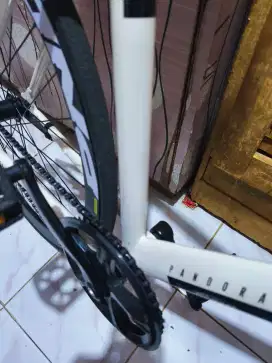 sepeda fixie pandora