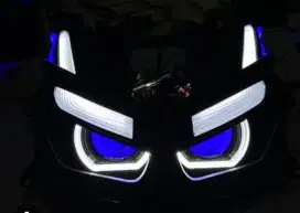Biled projie Vario custom