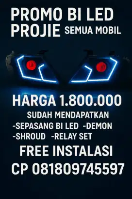 Custom biled projie