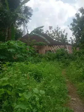 Dijual tanah di ds.begajah, Sukoharjo,solo