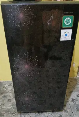Kulkas 1pt seken
