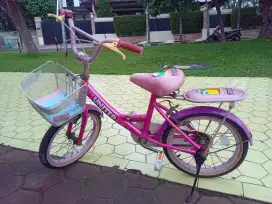 Sepeda Anak United 16 Inch