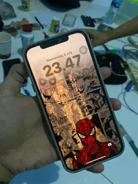 iphone 12 pro max graphite