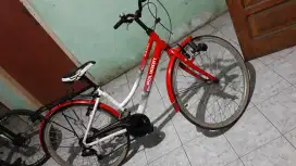 Sepeda City Bike