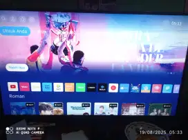 TV polytron 43 inch