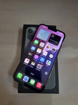 Iphone 13 Pro Max 256Gb