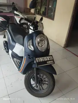 Scoopy 2022 AD  Solo