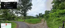 Jual Tanah 2 Hektar ditanami pohon jati