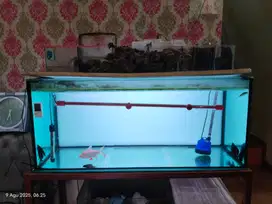 AQUARIUM 120 X 50 X 50