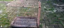 Kandang kucing layak pake