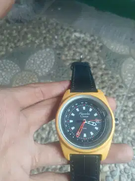 Alexandre Christie 6431md