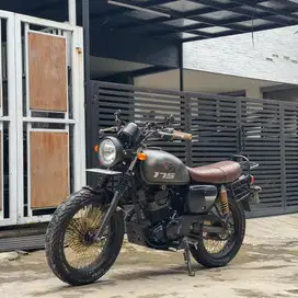 Kawasaki W175 cafe 2019 rare color