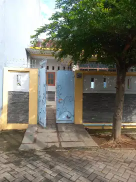 Sewa kamar / paviliun nyaman Kelapa Dua