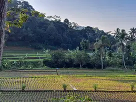 Di Jual Tanah Sawah