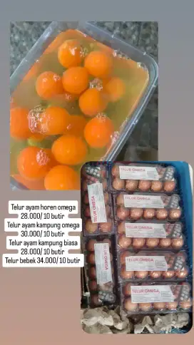 Telur ayam omega