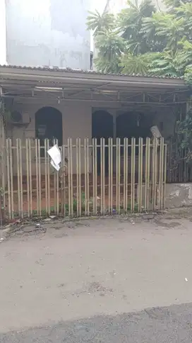 Rumah tua kelapa cengkir barat kelapa gading jarang ada