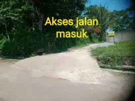 Jual tanah kebun murah
