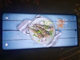hp infinix hot 50pro plus