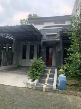 Disewakan rumah minimalis furnish di seputaran jalan PALAGAN perumahan