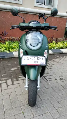 Honda Scoopy stylish 2025