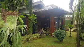 Jual Rumah Cepat Lokasi Cikeas