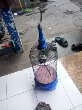 Kandang besi kecilpleci