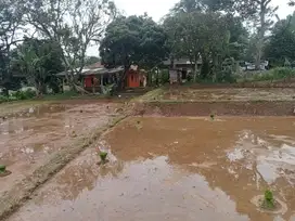 Dijual tanah sawah 2000m2
