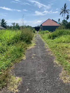 Jual cepat! Tanah Strategis Wanasari Tabanan